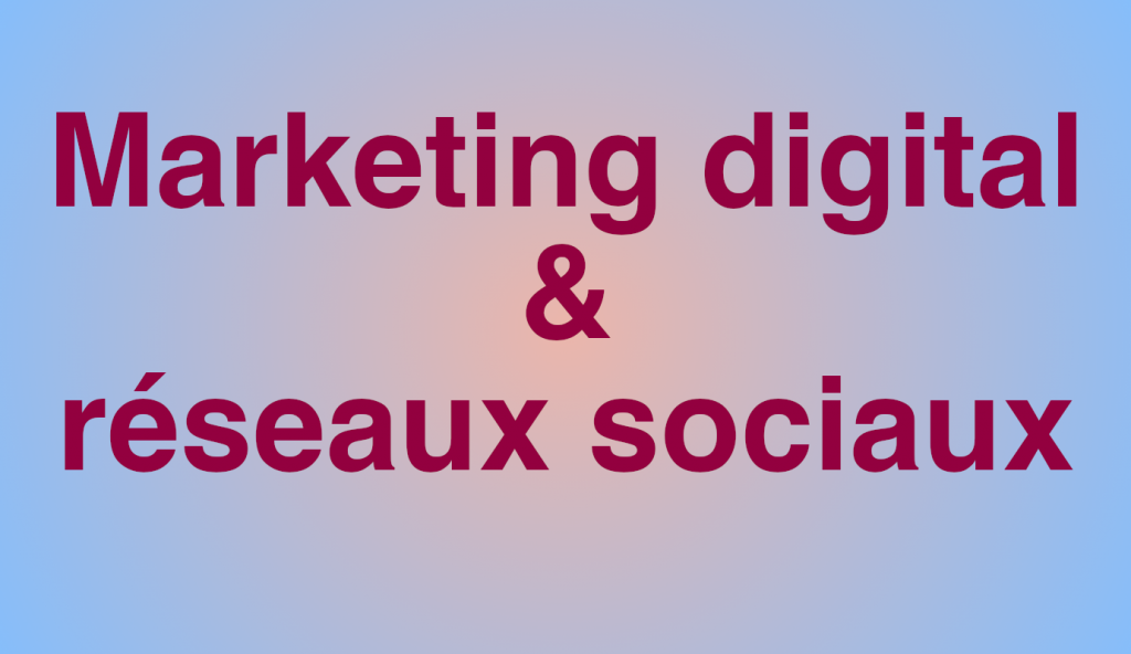 formation-marketing-digital-et-reseaux-sociaux-21h