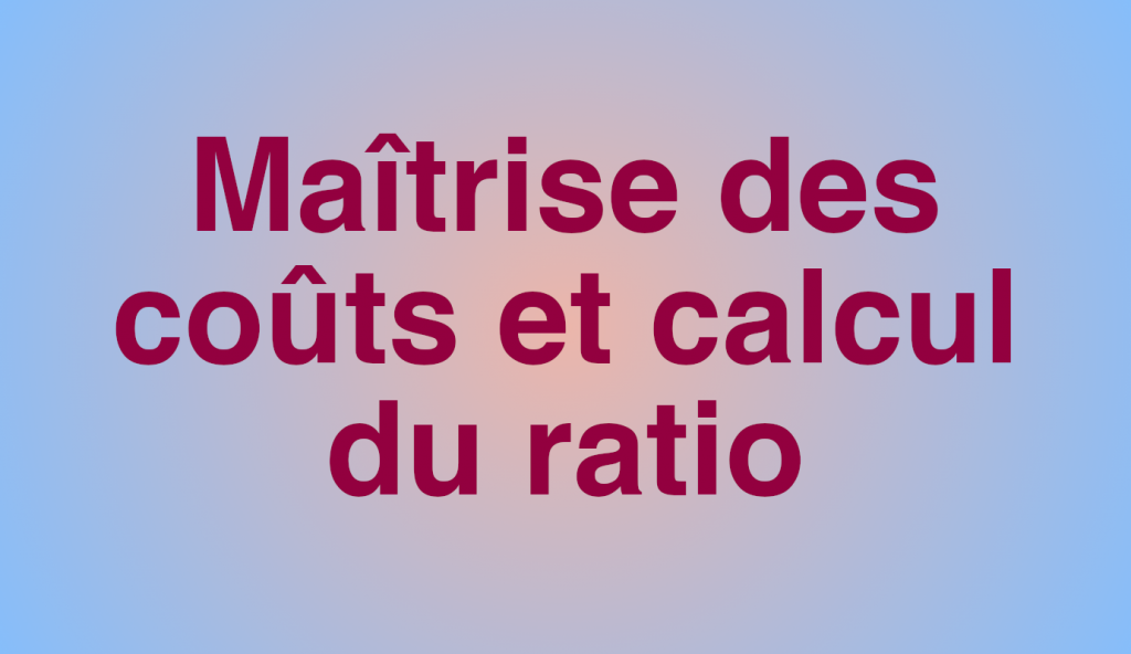 maitrise-des-couts-et-calcul-du-ratio-14h