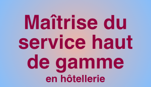 maitrise-du-service-haut-de-gamme-en-hotellerie-14h