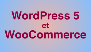 formation-l-essentiel-de-wordpress-5-et-woocommerce-14h