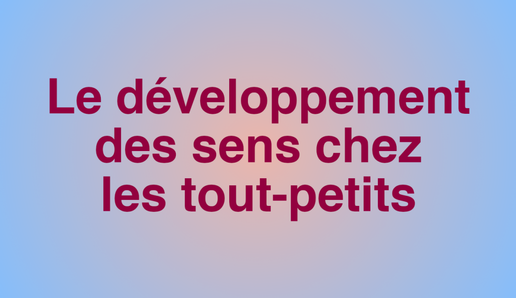 formation-le-developpement-des-sens-chez-les-tout-petits-7h