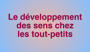 formation-le-developpement-des-sens-chez-les-tout-petits-7h